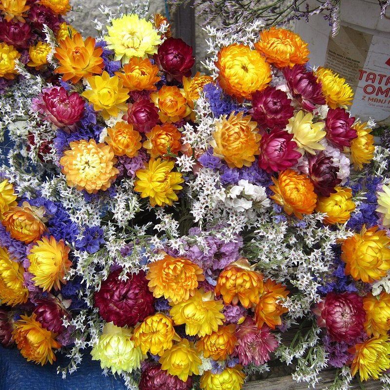 Dried Flowers