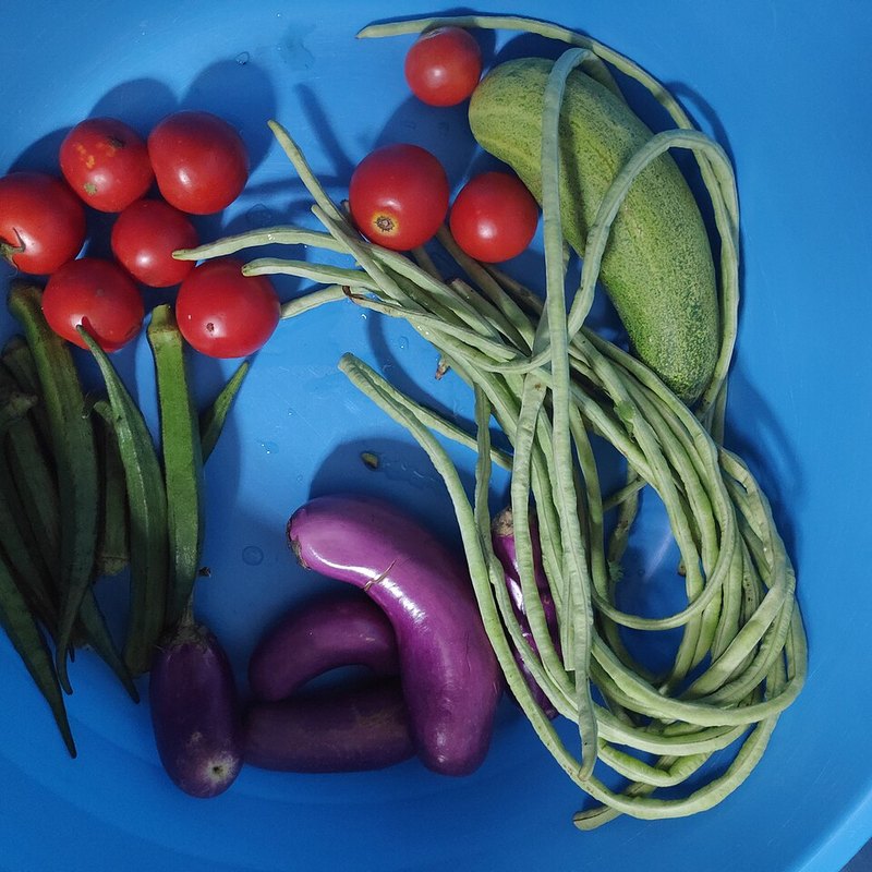 Fresh Vegetables