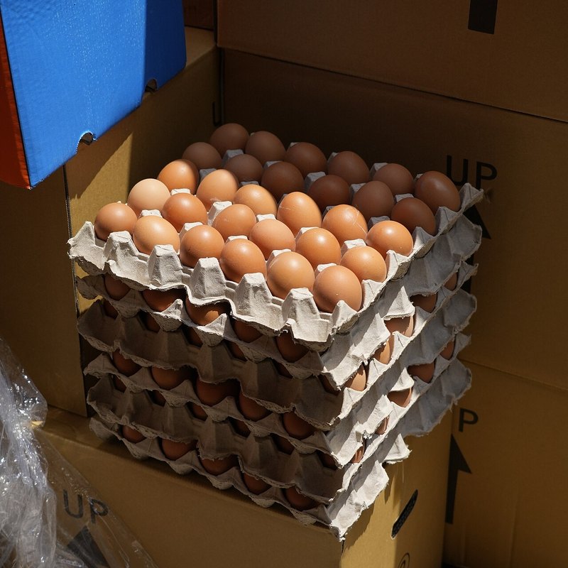 Eggs